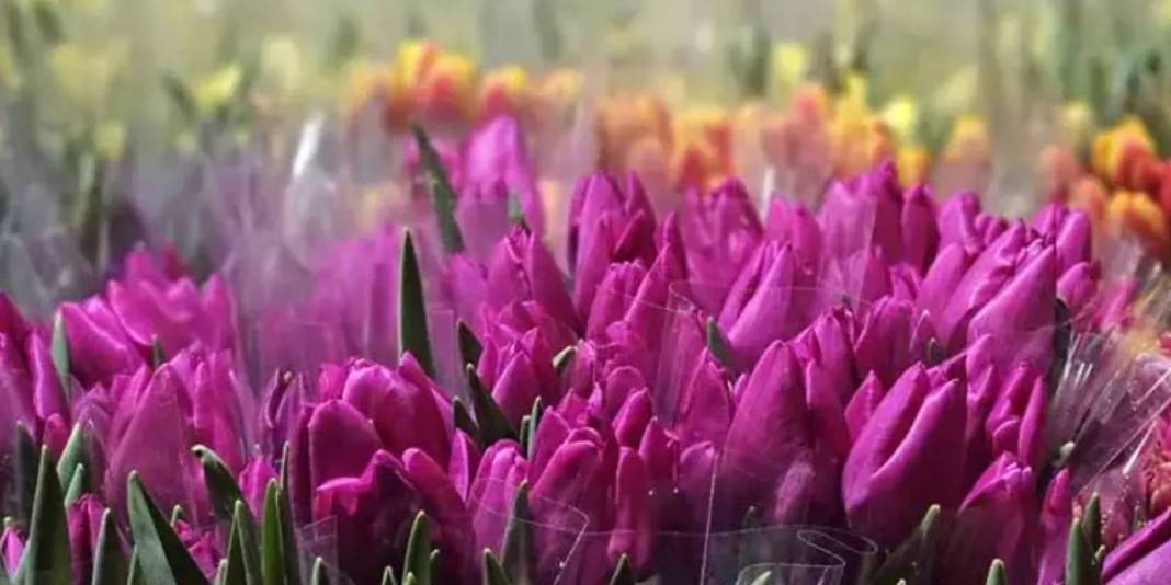 Türkiye’de tek! 2 özel gün için suda üretiliyor: Yıllık üretim 500.000’i buluyor 3